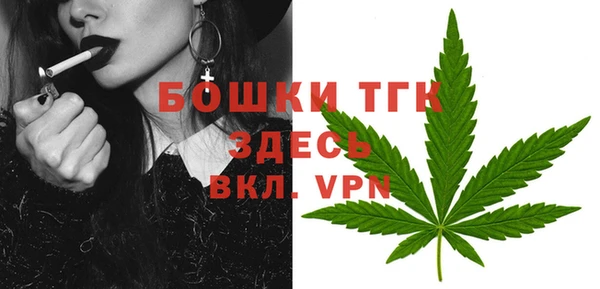 индика Рославль