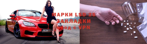 индика Рославль