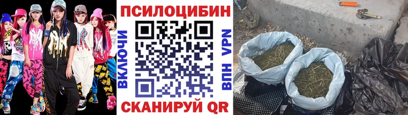 Псилоцибиновые грибы мицелий  Александровск 
